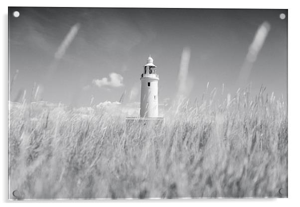  Keyhaven Lighthouse, Hampshire Acrylic by Adam Payne