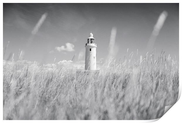  Keyhaven Lighthouse, Hampshire Print by Adam Payne