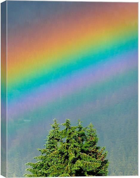  I can sing a rainbow Canvas Print by Judith Lightfoot