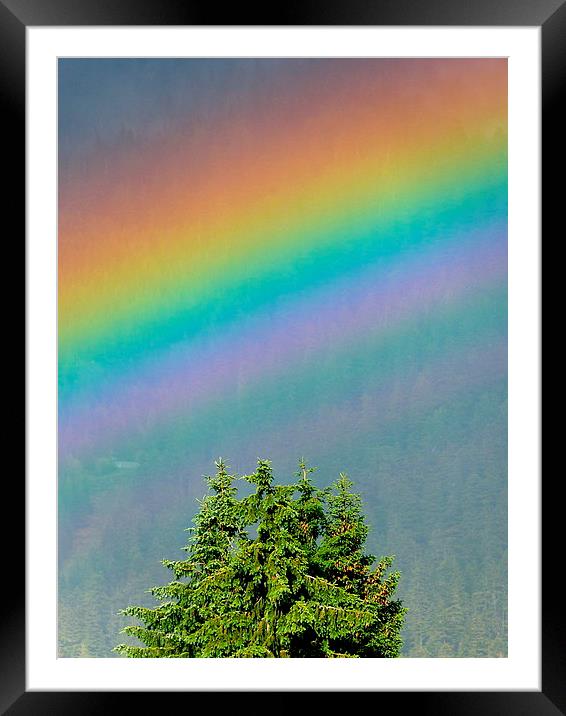  I can sing a rainbow Framed Mounted Print by Judith Lightfoot