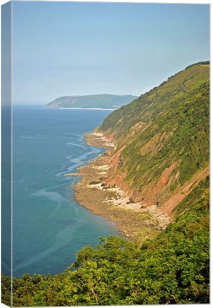 Desolation Point on the Exmoor Coast  Canvas Print by graham young