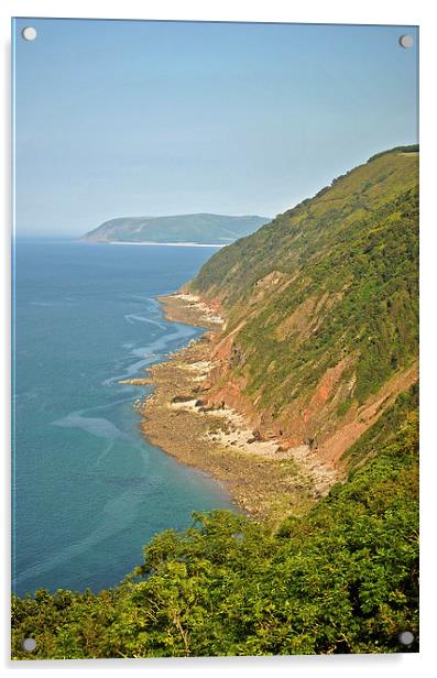Desolation Point on the Exmoor Coast  Acrylic by graham young