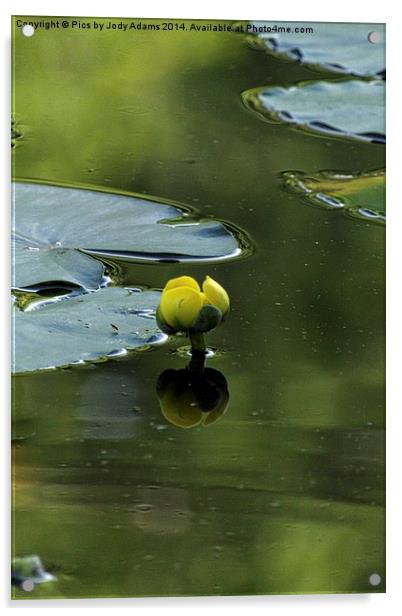  Yellow Acrylic by Pics by Jody Adams