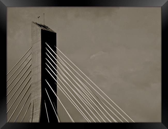 The Franjo Tuđman Bridge - Dubrovnic B&W Framed Print by Michael Wood