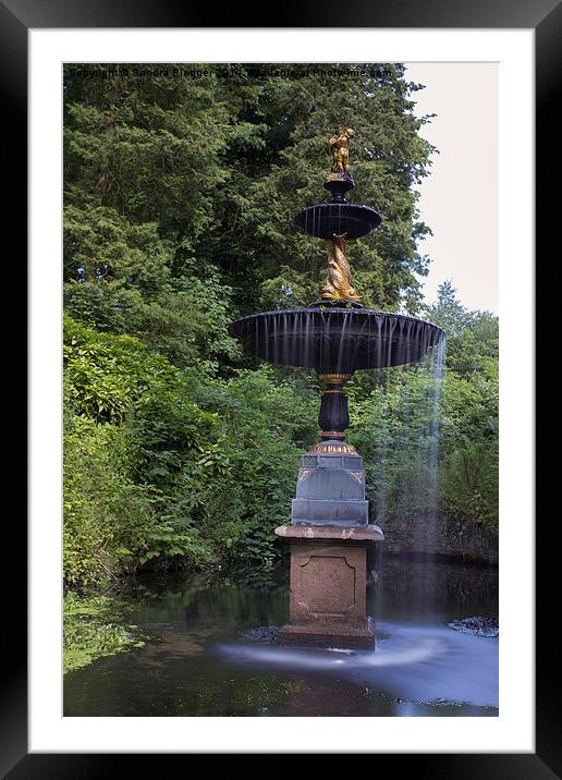Fountain in the Park Framed Mounted Print by Sandra Pledger