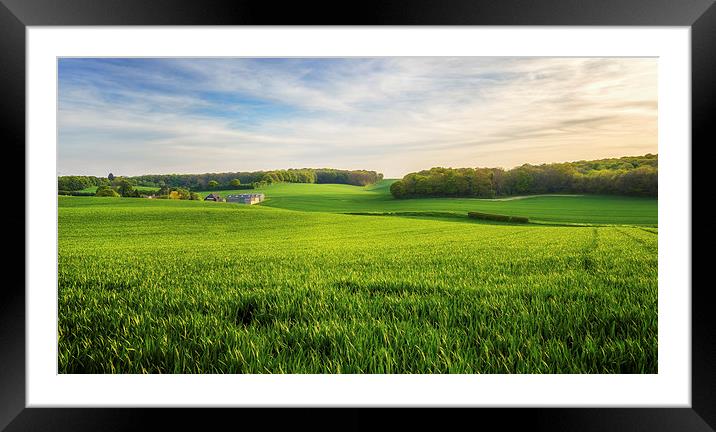  Green Farmland in Bean, Kent Framed Mounted Print by John Ly