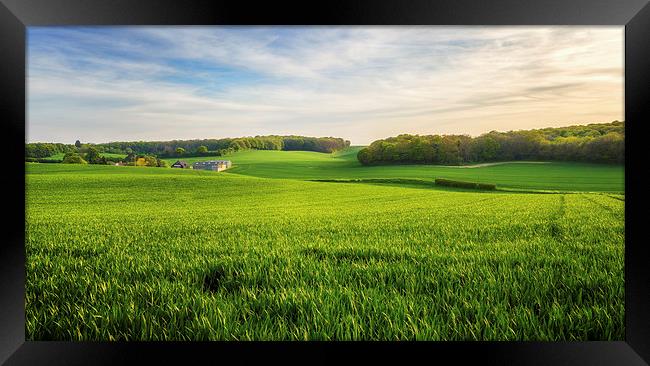  Green Farmland in Bean, Kent Framed Print by John Ly