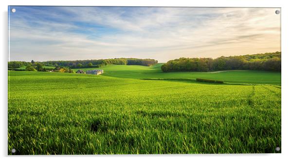  Green Farmland in Bean, Kent Acrylic by John Ly