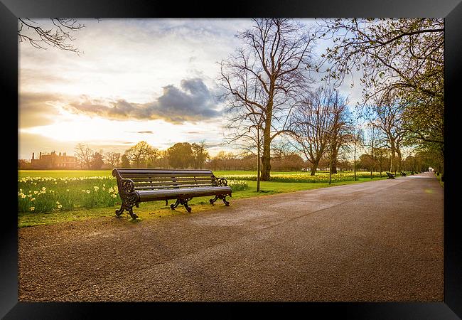  Empty Benches in Greenwich Park Framed Print by John Ly