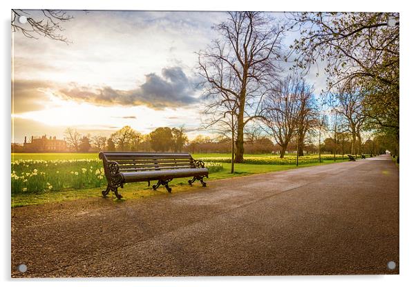  Empty Benches in Greenwich Park Acrylic by John Ly