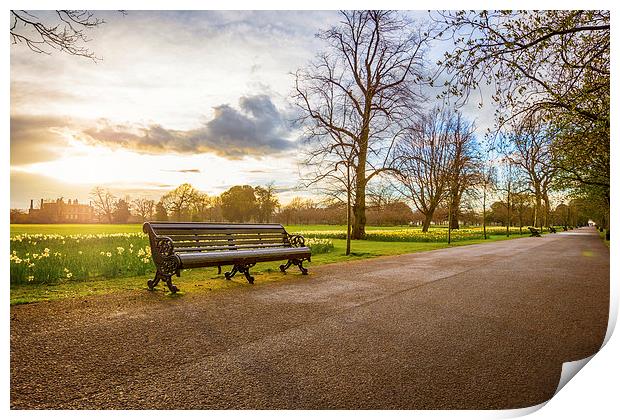  Empty Benches in Greenwich Park Print by John Ly