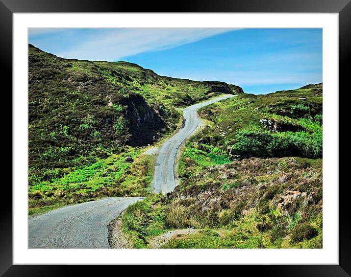  RUSH HOUR...skye Framed Mounted Print by dale rys (LP)
