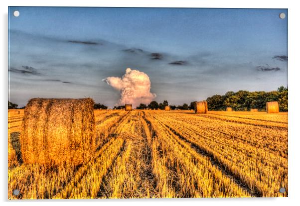  The farm in the summer Acrylic by David Pyatt