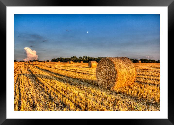  Summer on the English farm Framed Mounted Print by David Pyatt