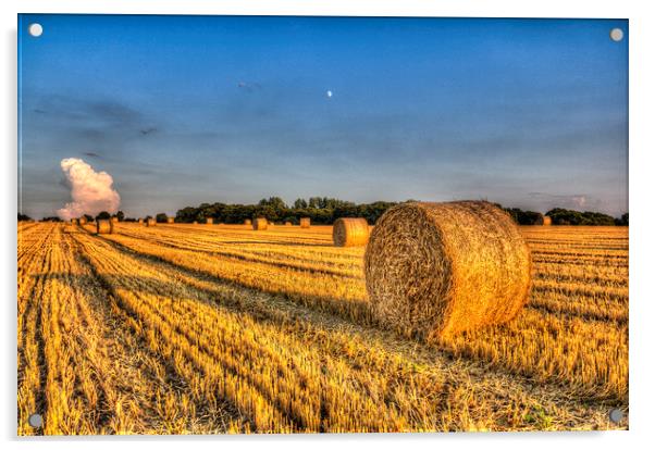  Summer on the English farm Acrylic by David Pyatt