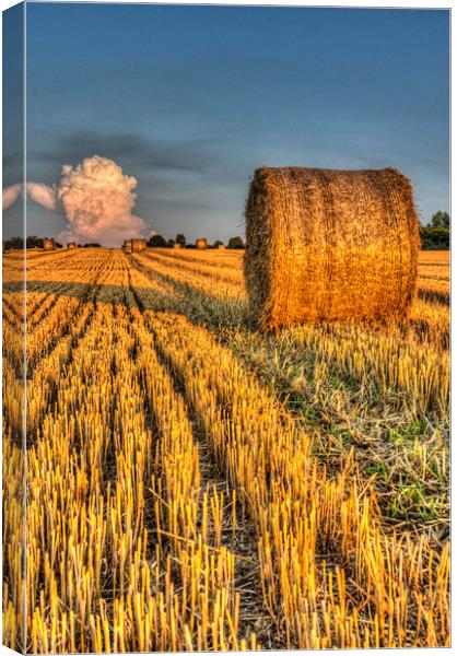  The farm and the face in the cloud Canvas Print by David Pyatt