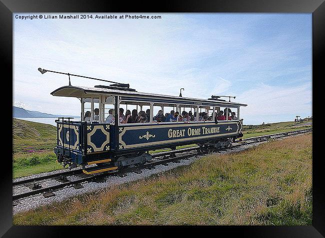  The Great Orme Tramway. Framed Print by Lilian Marshall