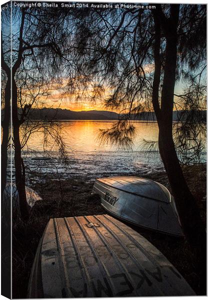  Narrabeen Lake sunset with boats Canvas Print by Sheila Smart