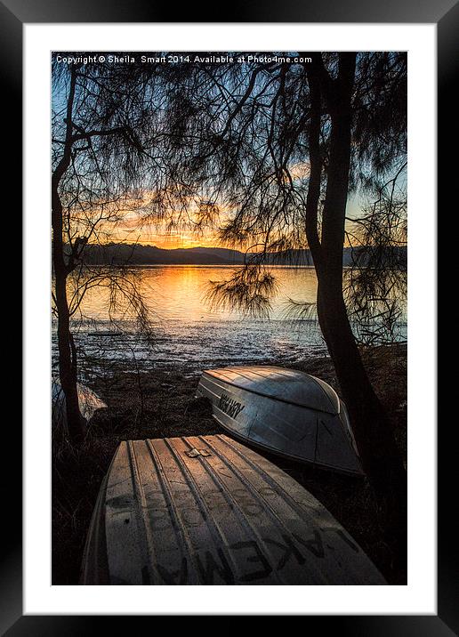  Narrabeen Lake sunset with boats Framed Mounted Print by Sheila Smart