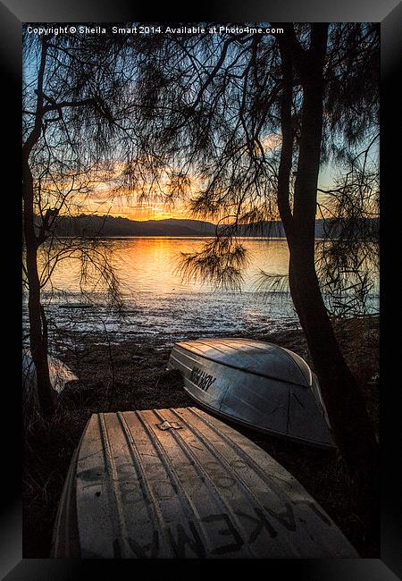  Narrabeen Lake sunset with boats Framed Print by Sheila Smart