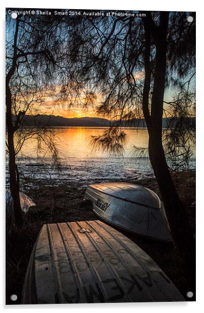  Narrabeen Lake sunset with boats Acrylic by Sheila Smart