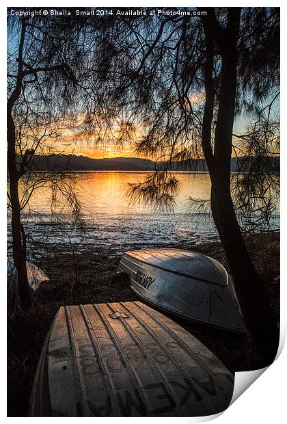  Narrabeen Lake sunset with boats Print by Sheila Smart