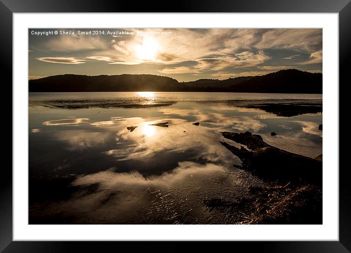  Sunset over Narrabeen Lake, Sydney, Australia Framed Mounted Print by Sheila Smart