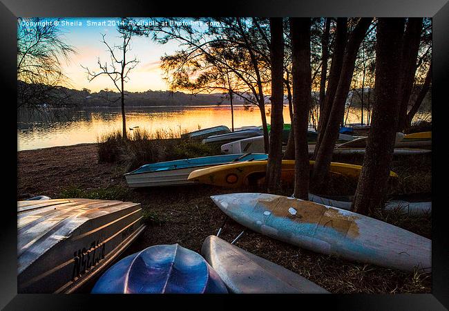  Boats at Narrabeen Lake Framed Print by Sheila Smart