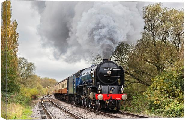  Tornado at Longueville Junction Canvas Print by Ian Duffield