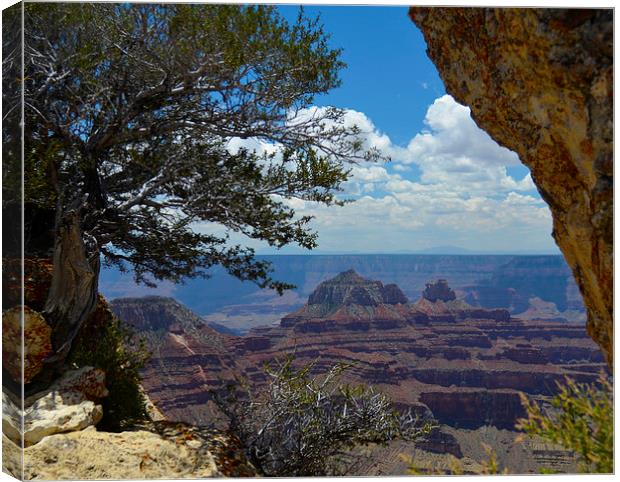  Bright Angel Point Grand Canyon Canvas Print by Angela Rowlands