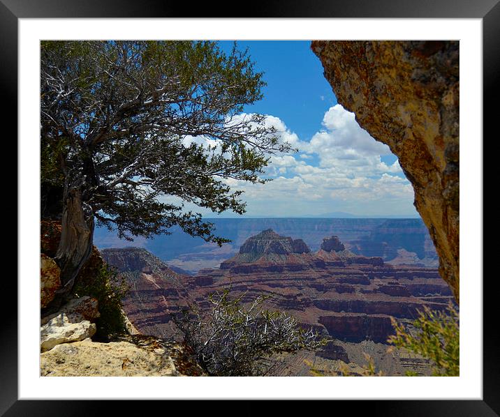  Bright Angel Point Grand Canyon Framed Mounted Print by Angela Rowlands