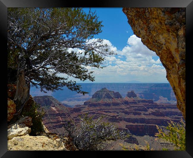  Bright Angel Point Grand Canyon Framed Print by Angela Rowlands