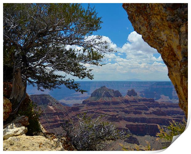  Bright Angel Point Grand Canyon Print by Angela Rowlands