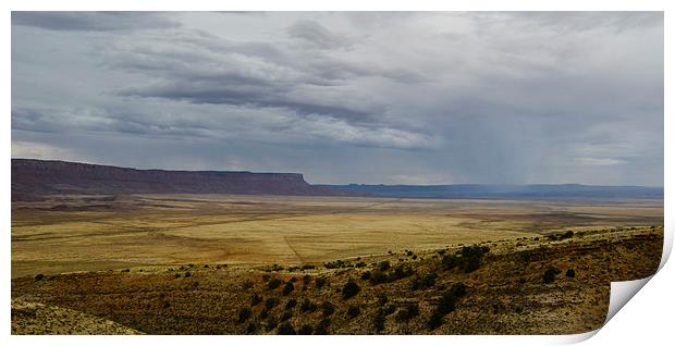  Monsoon Over Arizona Plain Print by Angela Rowlands