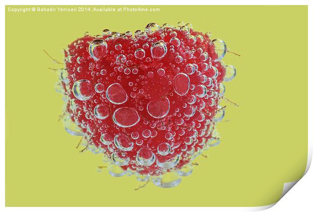 Raspberry  Print by Bahadir Yeniceri