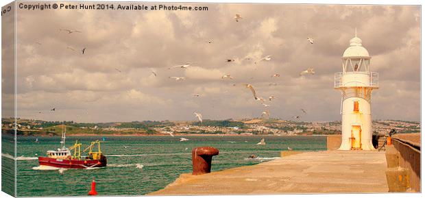  Seagulls Over The Breakwater Canvas Print by Peter F Hunt