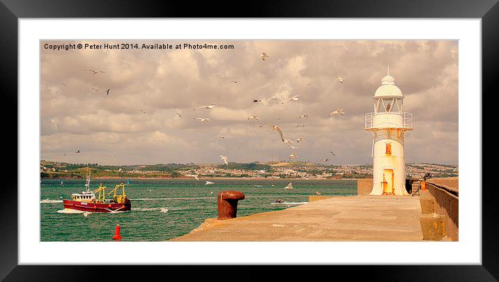  Seagulls Over The Breakwater Framed Mounted Print by Peter F Hunt