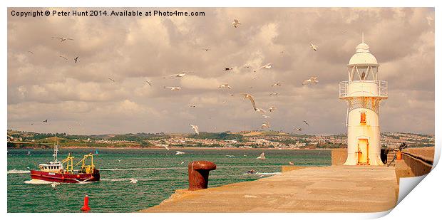  Seagulls Over The Breakwater Print by Peter F Hunt
