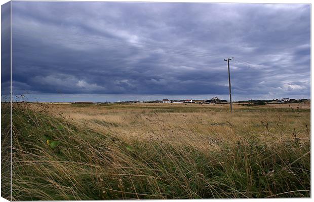 breeze Canvas Print by Chris Brook