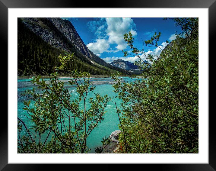  Bow River flowing Rocky Mountains Canada Framed Mounted Print by Chris Curry