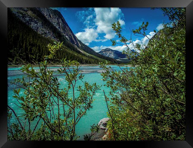  Bow River flowing Rocky Mountains Canada Framed Print by Chris Curry