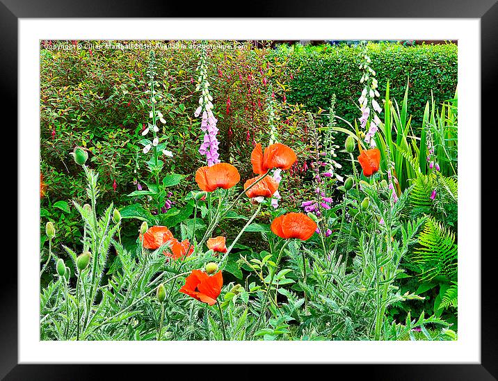  English Country Garden.  Framed Mounted Print by Lilian Marshall