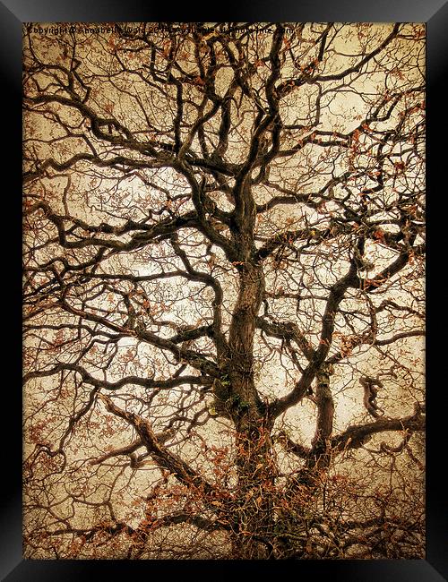  Autumn Love Tree Framed Print by Annabelle Ward