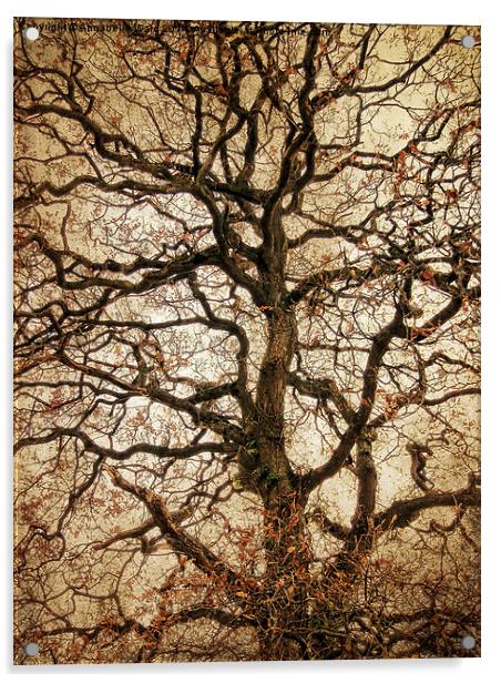  Autumn Love Tree Acrylic by Annabelle Ward