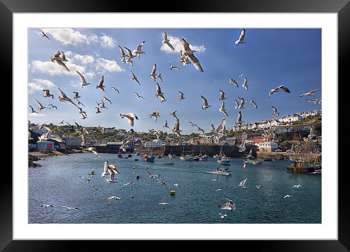  A Flock of Seaguls Framed Mounted Print by Mark Godden