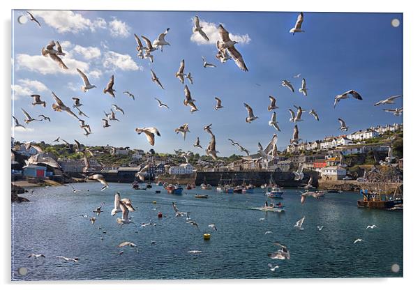  A Flock of Seaguls Acrylic by Mark Godden