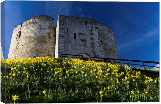 Tower and Daffodils Canvas Print by Steve Wilson