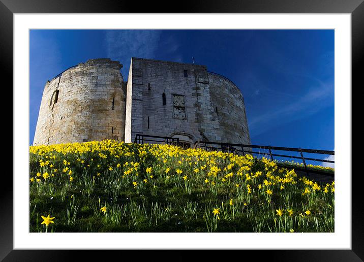 Tower and Daffodils Framed Mounted Print by Steve Wilson