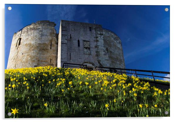 Tower and Daffodils Acrylic by Steve Wilson