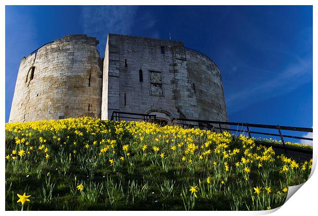 Tower and Daffodils Print by Steve Wilson